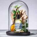 Bullfrog Elements Eau De Toilette Water