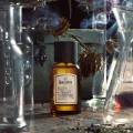 Deadly Nightshade Bullfrog 100ml