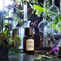 woda perfumowana Bullfrog Dradly Nightshade 100ml