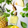 Cyrulicy Rogue męskie perfumy