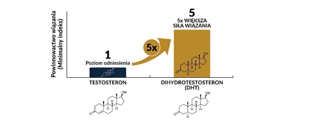 Wpływ hormonów na problem wypadania włosów